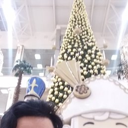 ���� �������, ���������, 47 ��� - ��������� 28 ������ 2024