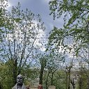 ���� �����, ������������, 45 ��� - ��������� 19 ������ 2026