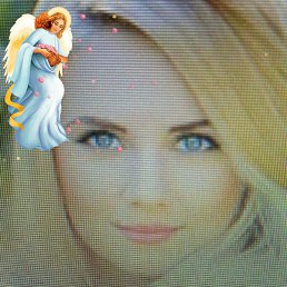 ����, ��������, 104 ����