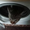 ���� 151 �������, ����� - ��������� 18 ������ 2025 � ������ ������ ��������