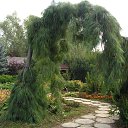 ���� ���������, �������, 65 ��� - ��������� 18 ������ 2024 � ������ ���� ����������