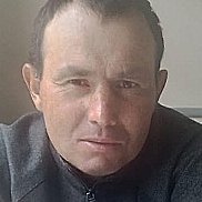 , 37 , 