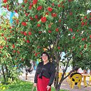 ���� ������, ������, 67 ��� - ��������� 11 ������� 2025 � ������ ���� ����������