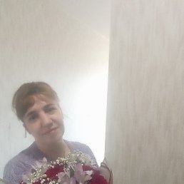 ������, ����������, 42 ����