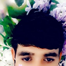, 23, 