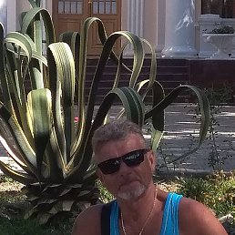 �������, ���������, 66 ���