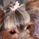 ���� ������, ���������� �����, 65 ��� - ��������� 9 ������ 2026 � ������ ���� ����������