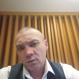 ������, 37 ���, ������