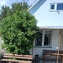 ���� ��������, �������, 61 ��� - ��������� 28 ������ 2025 � ������ ���� ����������