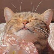 �����, 25 ���, ������������