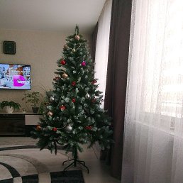 ���� ���������, ���������, 44 ���� - ��������� 25 ������� 2025