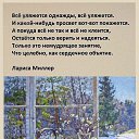 ���� ��������, ������������ - ��������� 28 ������ 2026 � ������ ������ ��������