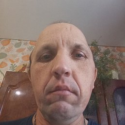 �������, ��������, 39 ���