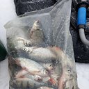 ���� ���������, ������, 69 ��� - ��������� 6 ������ 2025 � ������ ���� ����������