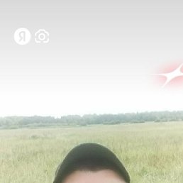 , 37, 