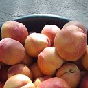 ���� ����, �����, 41 ��� - ��������� 20 ������� 2024 � ������ ���� ����������