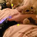 ���� �����, ������ - ��������� 4 ������ 2024