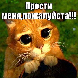 Radik, �������������, 48 ���