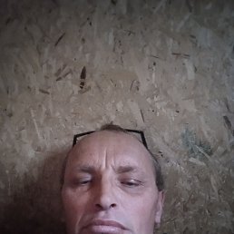 , 41,  