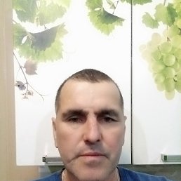 , 52, 