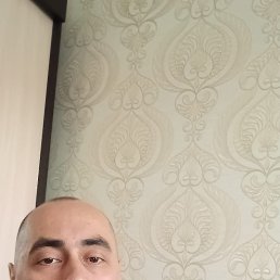 ����, 42 ����, ���������