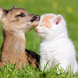 �������, ���!, 23 ����