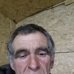 , 57, 