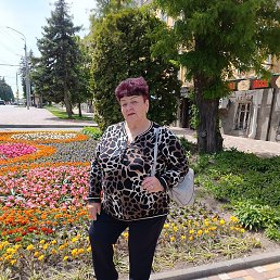 �������, ������, 66 ���