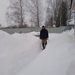 �������, �����, 43 ����