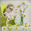 ���� ������ ����, ���������, 39 ��� - ��������� 11 ��� 2024 � ������ ���� ����������