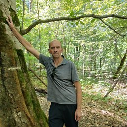 ����, 56 ���, ���������