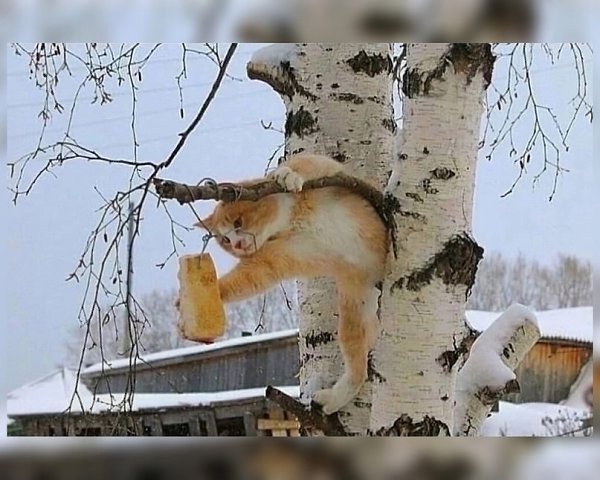 Мне кажется он не тот, за кого себя выдаёт...