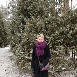 ���� ������, �����, 51 ��� - ��������� 14 ������� 2025