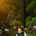 ���� ������, ���������, 43 ���� - ��������� 29 ���� 2026 � ������ ���� ����������