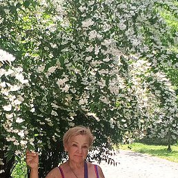 , 57, 