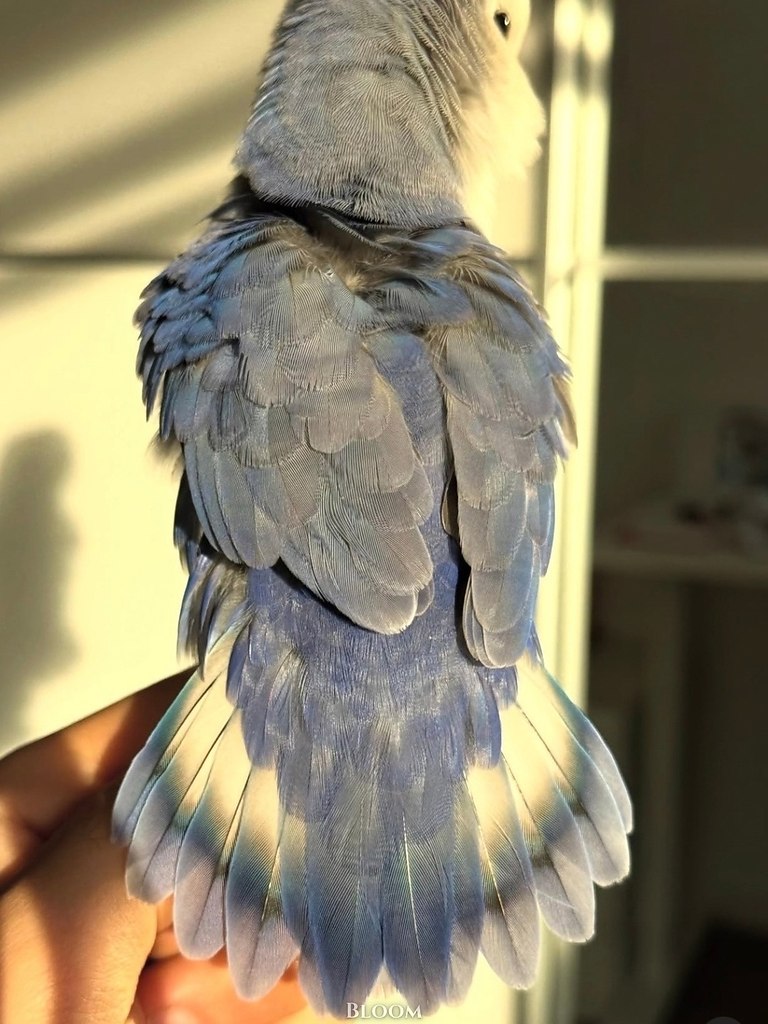 ��� �������, ��� ������ ����� ����� ���������� �� ��, ��� ������� ������ ���� ����� ������ - 5