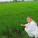 ���� �����, ������ - ��������� 10 ������ 2023