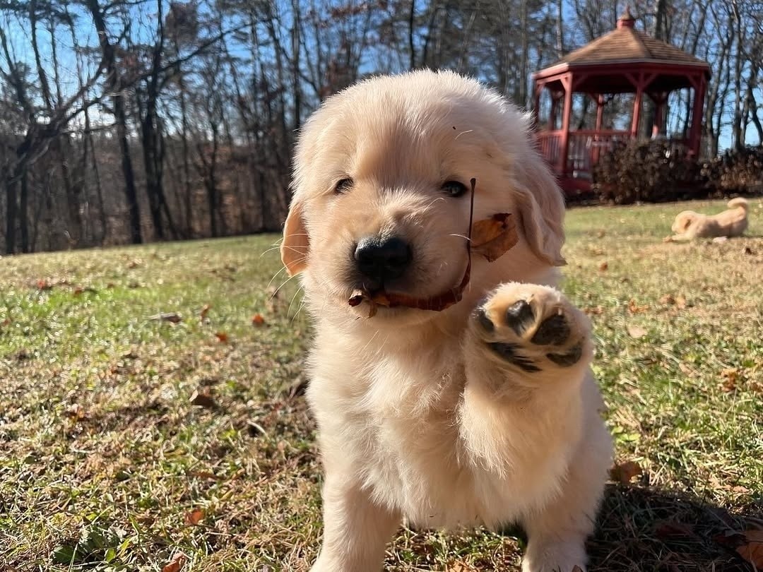  ,         .   ... - 2