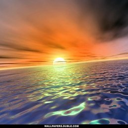 ��������, ����, 48 ���