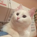 ���� ��������, �������-���������, 65 ��� - ��������� 25 ������� 2024 � ������ ���� ����������