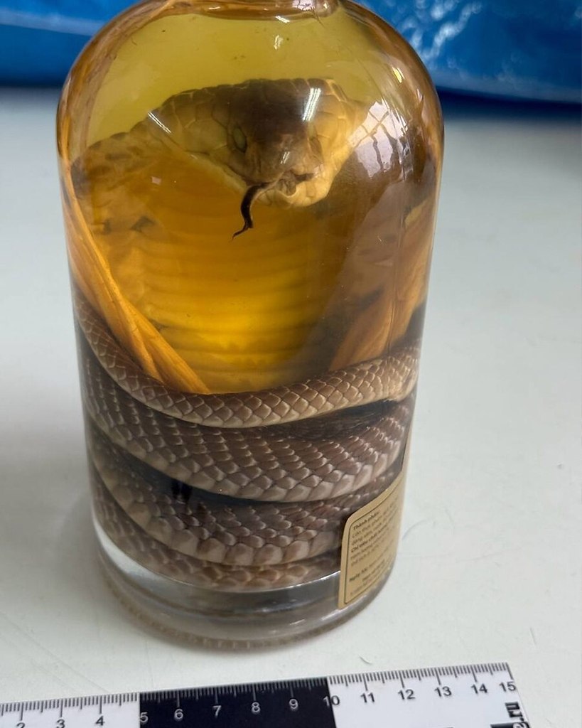 ��������� ���� �������� ��������� ������������: � ����������, ����������� �� ��������, ������ ... - 2