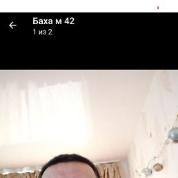 , 41, 