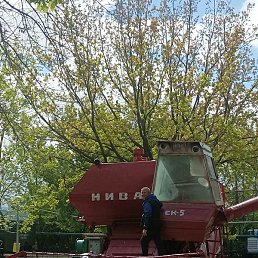 �����, �������, 42 ����