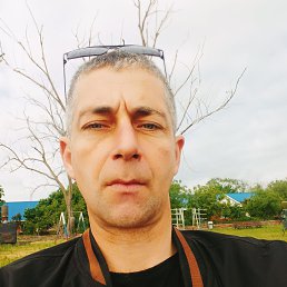 ���� ���������� ���������, ���������, 43 ���� - ��������� 1 ���� 2025