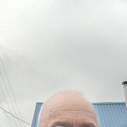 , 53, 