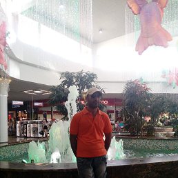 ����, 41 ���, ���