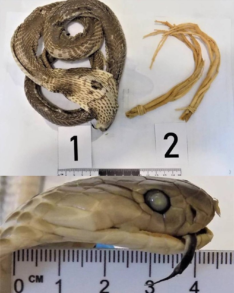 ��������� ���� �������� ��������� ������������: � ����������, ����������� �� ��������, ������ ... - 3