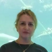 ����, 41 ���, ������