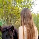 ���� ��������, ��������, 27 ��� - ��������� 20 ���� 2026 � ������ ���� ����������