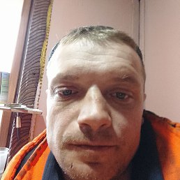 ������, �����, 37 ���